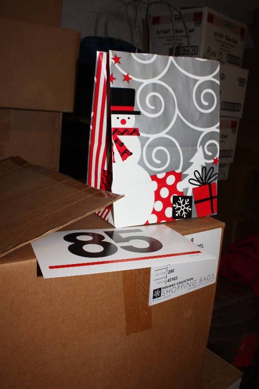 5 cases of 250 Handled Gift Bags. 1250 bags total.