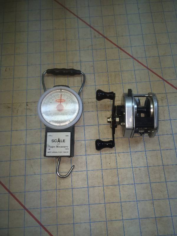 Fishing reel and scale