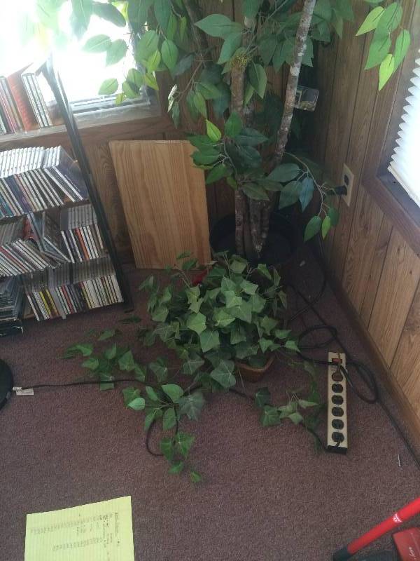 lot 205 image: Artificial Tree and Plant