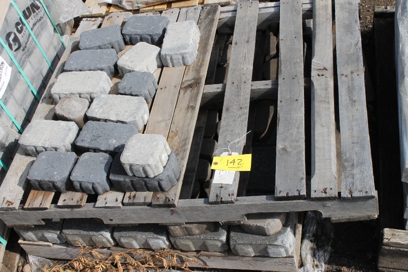 Mixed Pavers