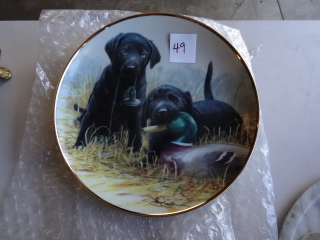 Collector Plate