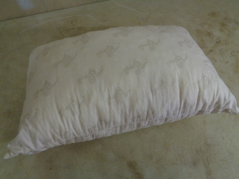 lot 17 image: Travel My Pillow