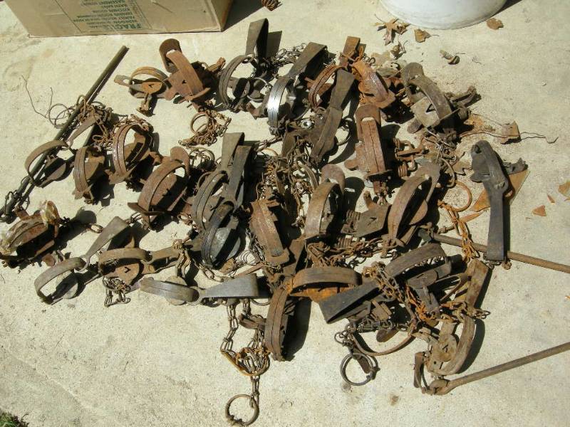 lot 43 image: Traps