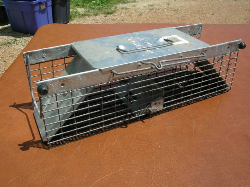 lot 42 image: Small Havahart Live-Trap