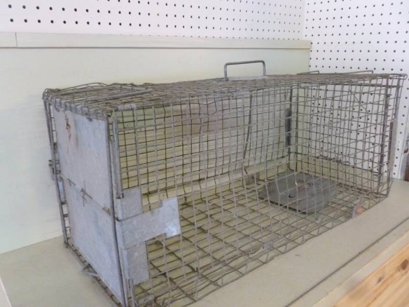 lot 114 image: Live Trap