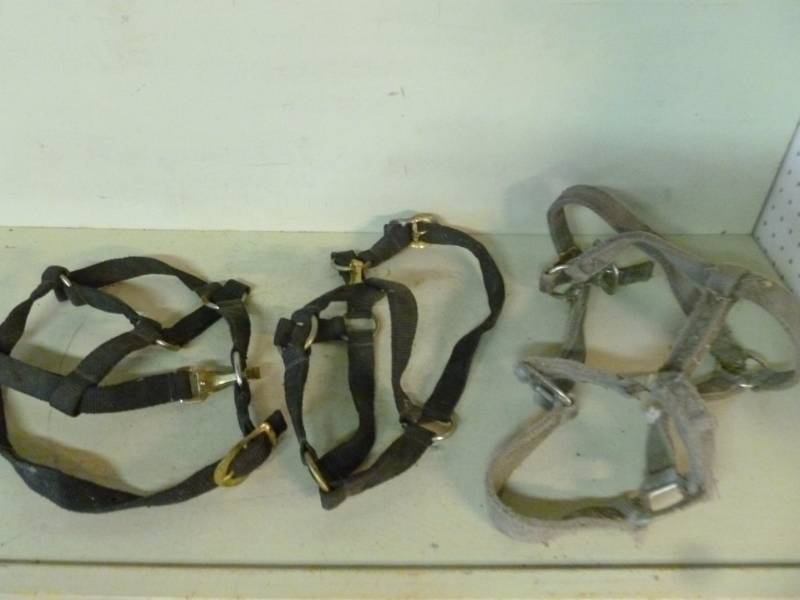 lot 185 image: Horse Equipment