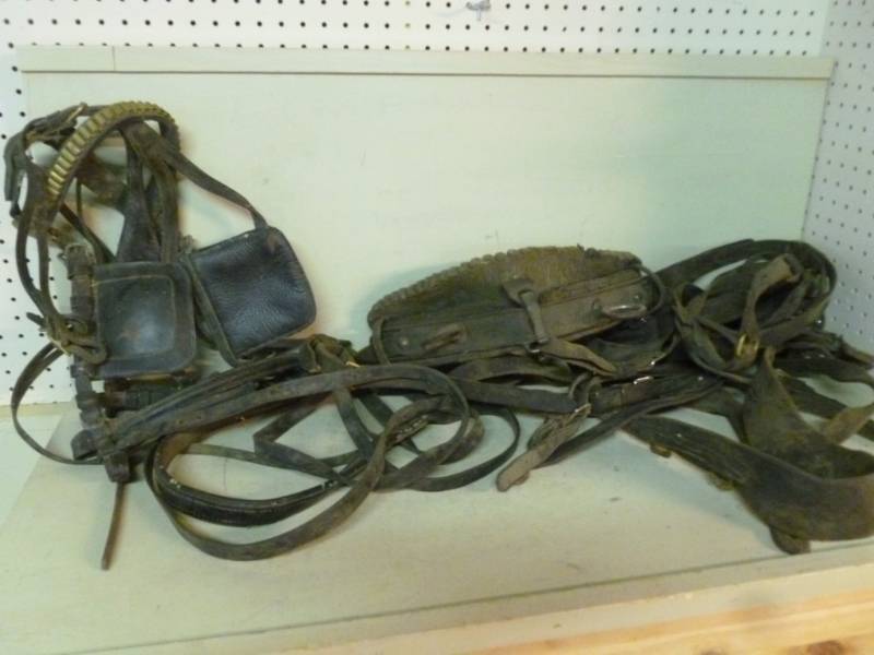 lot 194 image: Horse Equipment