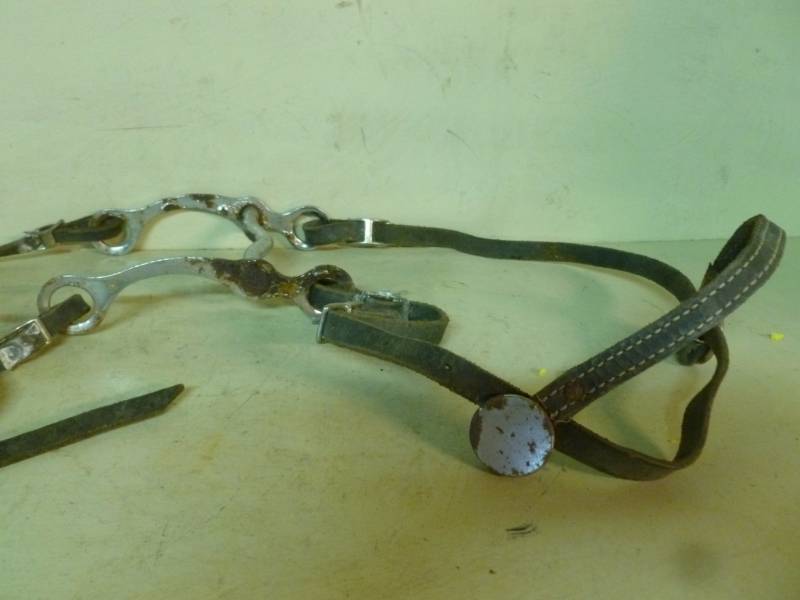 lot 206 image: Horse Equipment