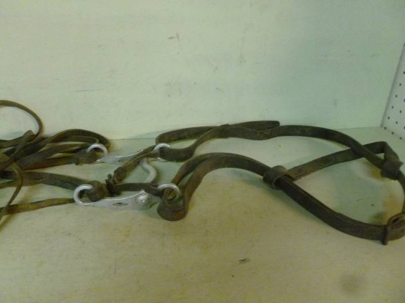 lot 208 image: Horse Equipment