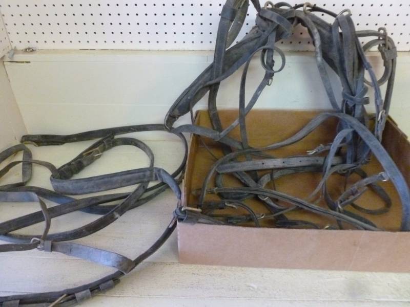 lot 305 image: Horse Equipment