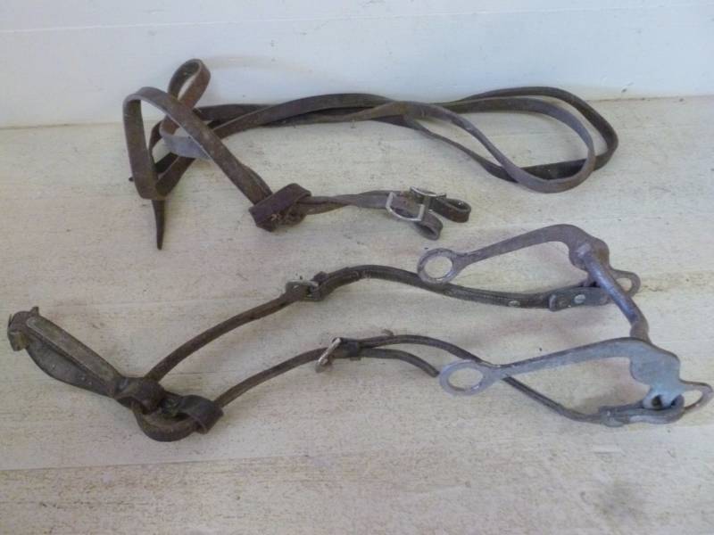 lot 307 image: Horse Equipment