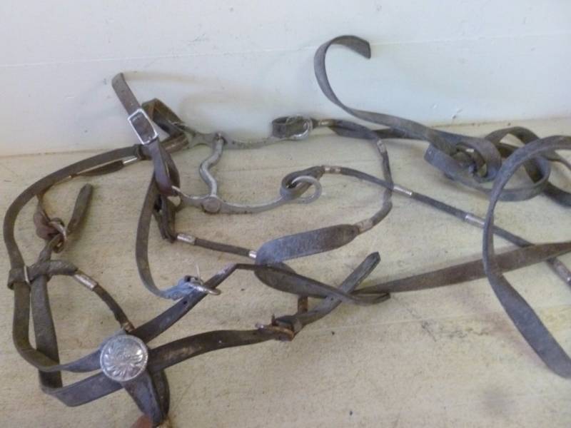 lot 308 image: Horse Equipment