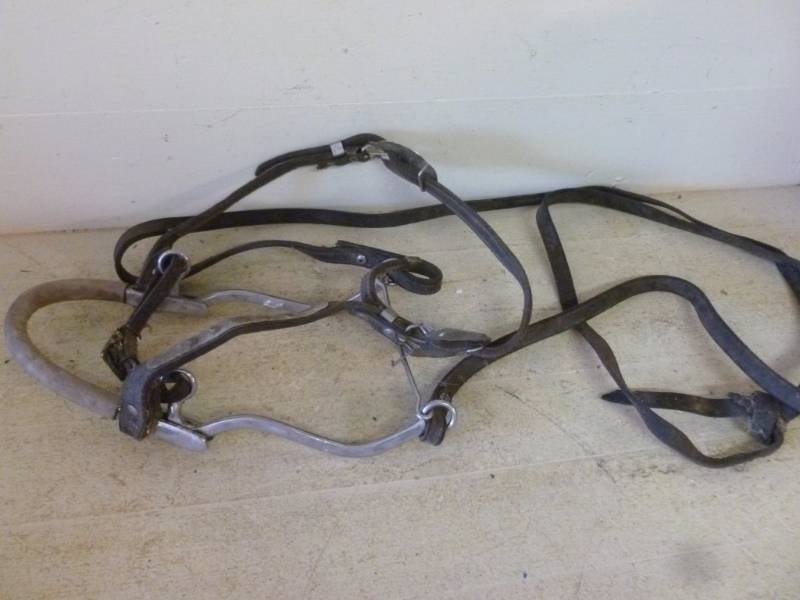 lot 309 image: Horse Equipment