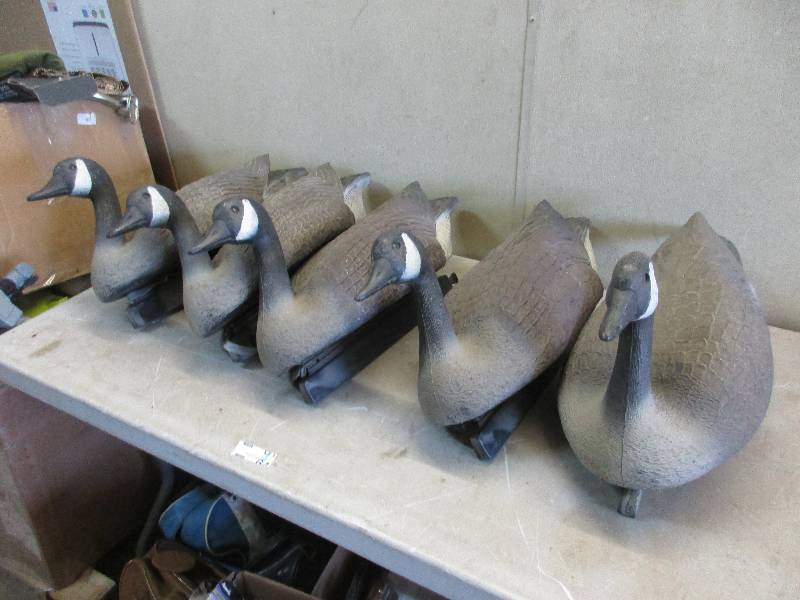 Goose Decoys