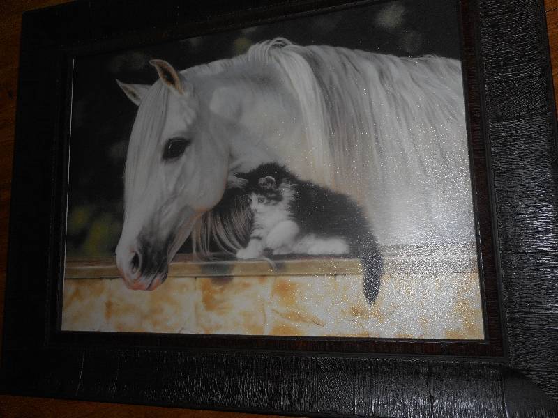 20X16 MARE AND KITTY PICTURE