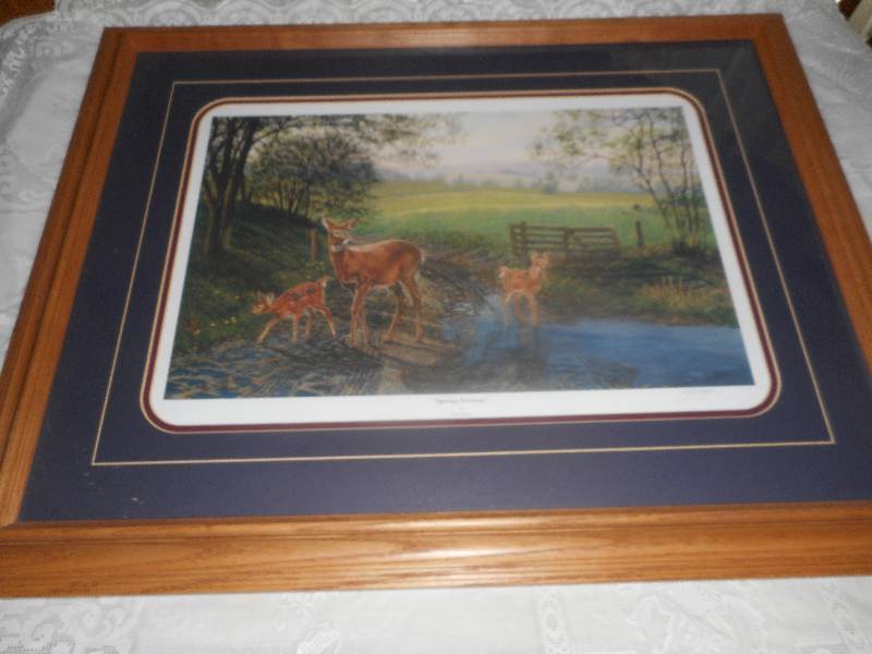 27X23 SPRING ARRIVAL PICTURE