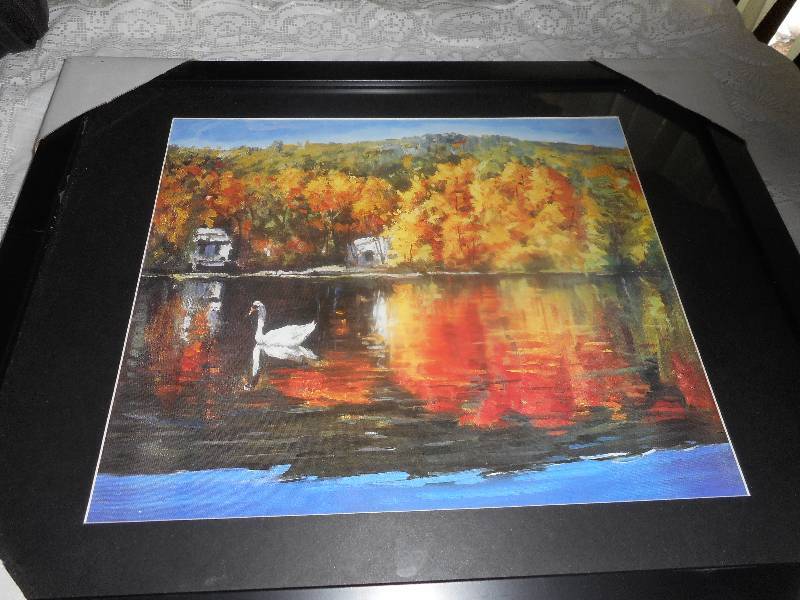 20X16 LAKE SWAN PICTURE