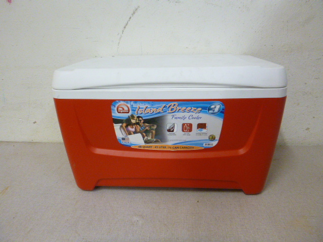 lot 38 image: Igloo Cooler
