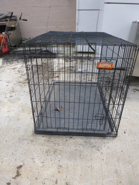 lot 124 image: Dog Kennel