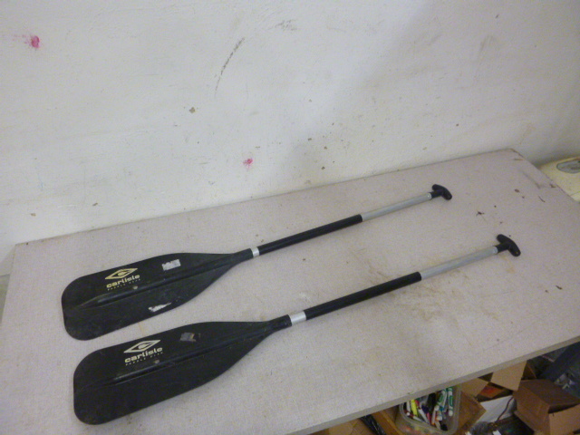 lot 207 image: 2 Carlisle Paddles