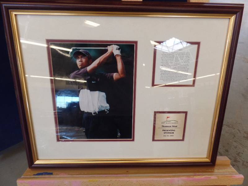 Tiger Woods Sports Art