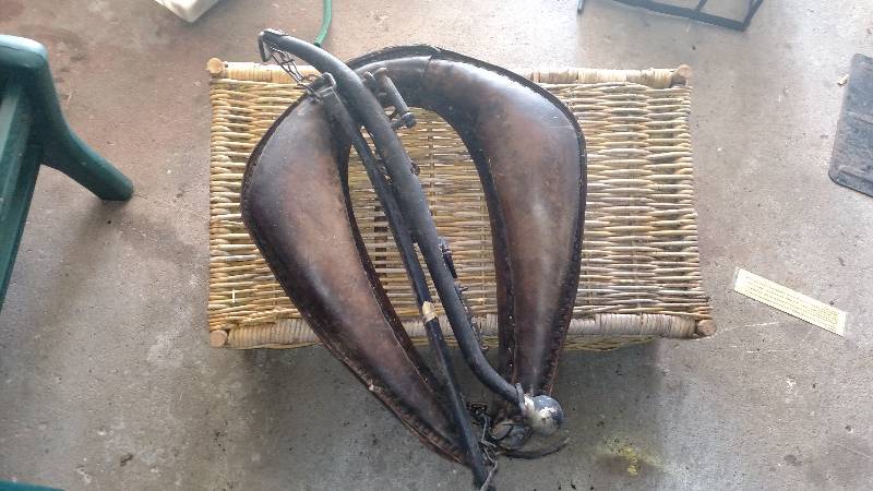 lot 36 image: Horse Trace