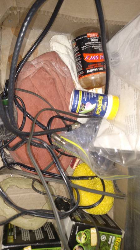 lot 13 image: Terrarium w accessories