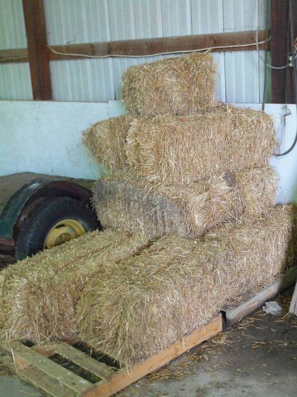 lot 15 image: Lot Of (10) Straw Bails ...