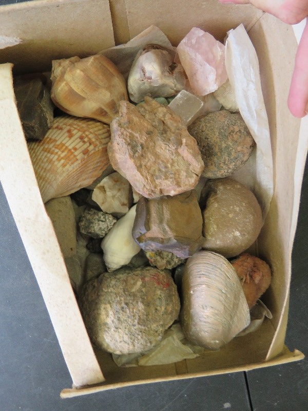 Rocks and Shells