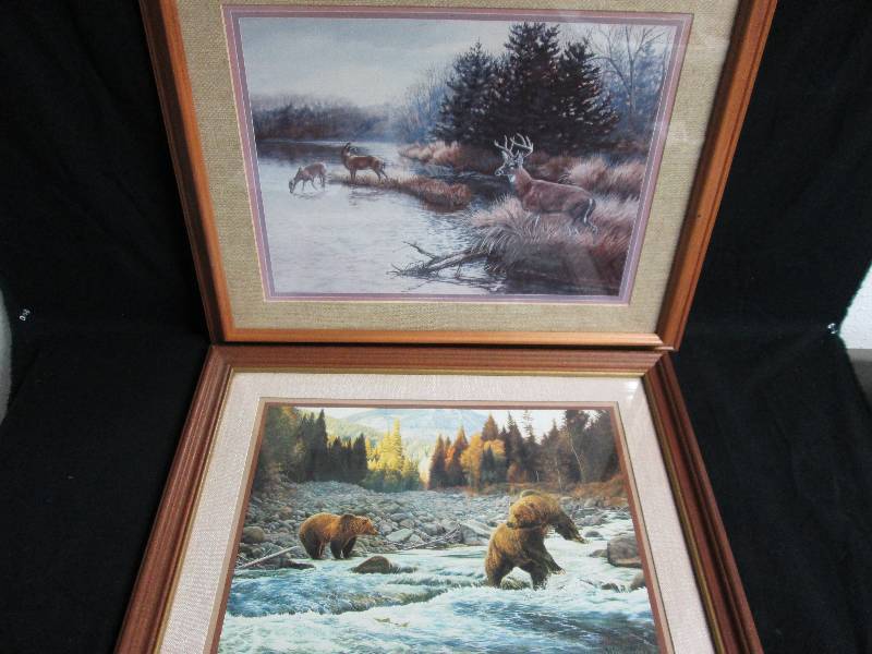 lot 171 image: 2 Framed Wildlife Pictures