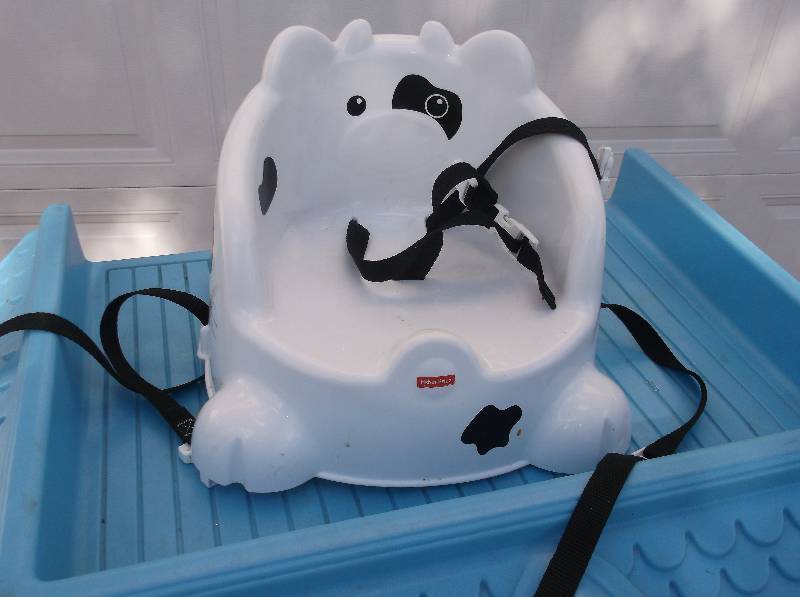 Booster Chair