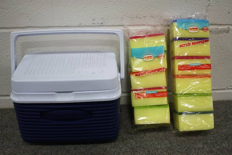 Rubbermaid Mini-Cooler & Sponges
