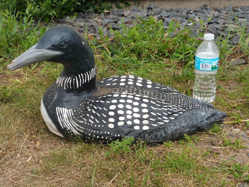 lot 17 image: Concrete Loon Lawn Dcor