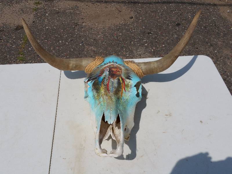 lot 47 image: Steer Skull & Horns - Native American Painting
