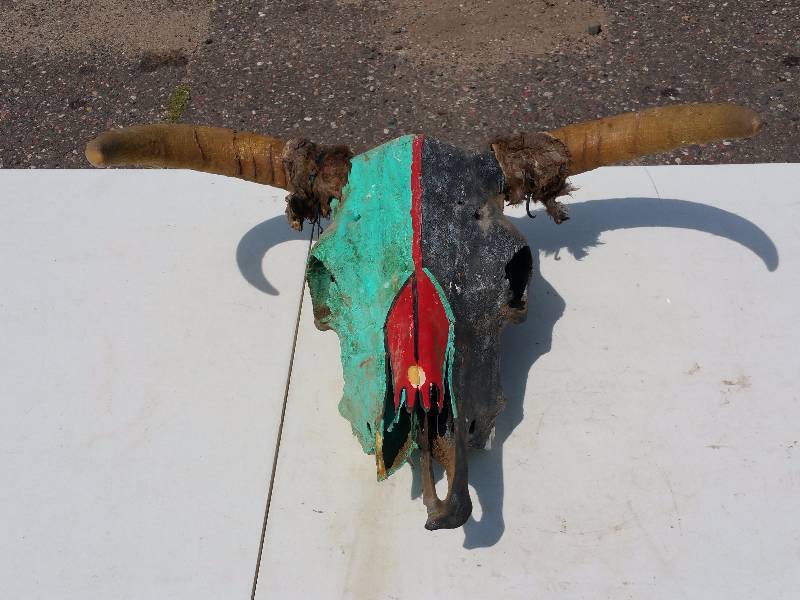 lot 48 image: Steer Skull & Horns - Painted Turquoise and Black