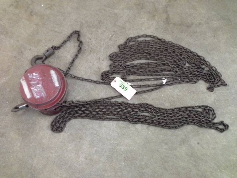 lot 389 image: CM Cyclone 25 1 Ton Hoist