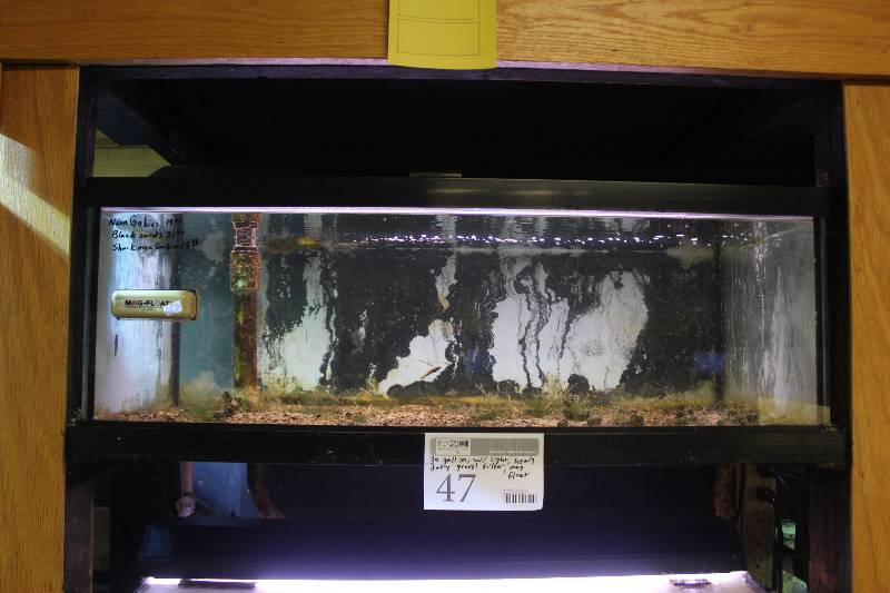 lot 47 image: 30-Gallon Breeder Aquarium - Drilled w Glass top, Light, Bulkhead and Stand pipe.
