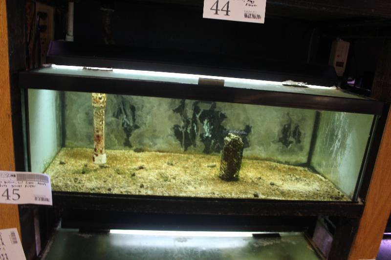 lot 45 image: 30-Gallon Breeder Aquarium - Drilled w Glass top, Light, Bulkhead and Stand pipe.