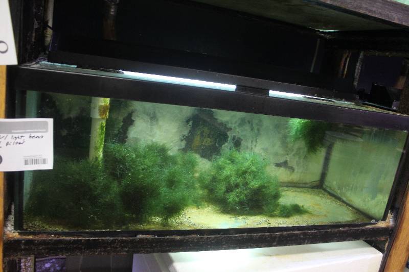 lot 46 image: 30-Gallon Breeder Aquarium - Drilled w Glass top, Light, Bulkhead and Stand pipe.