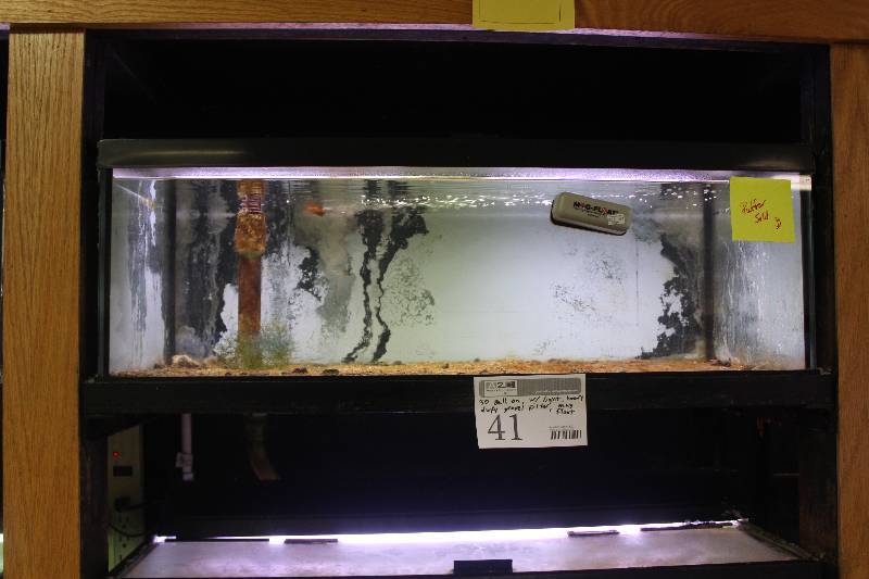 lot 41 image: 30-Gallon Breeder Aquarium - Drilled w Glass top, Light, Bulkhead and Stand pipe.