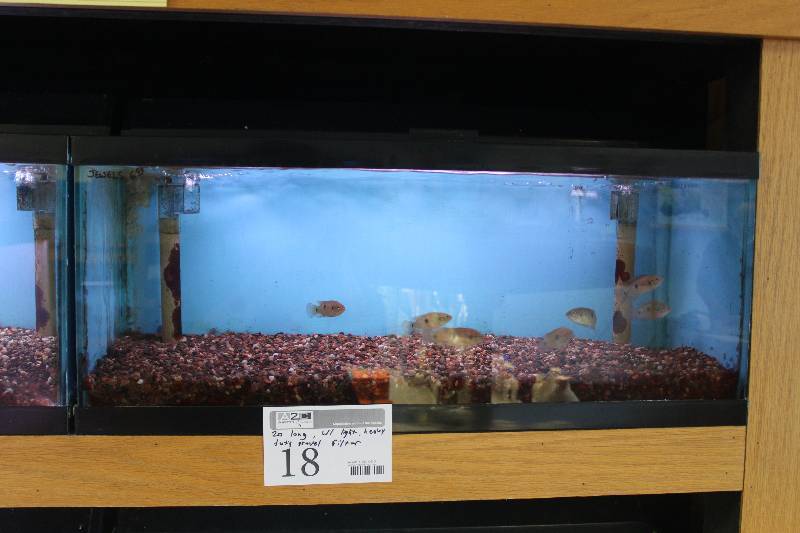 lot 18 image: 20-Gallon Long Aquarium w Glass top, 30 Light, Under-gravel Filter, and Gravel