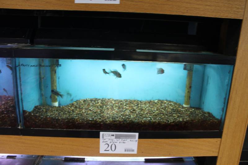 lot 20 image: 20-Gallon Long Aquarium w Glass top, 30 Light, Under-gravel Filter, and Gravel