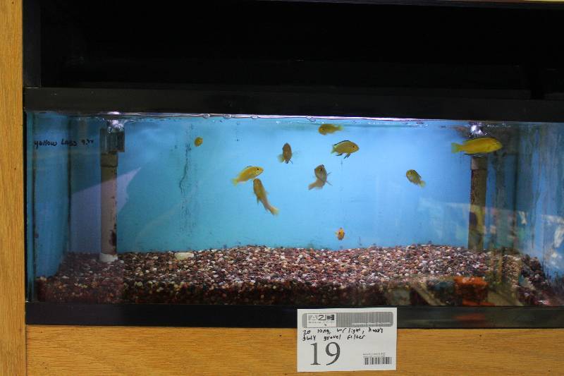 lot 19 image: 20-Gallon Long Aquarium w Glass top, 30 Light, Under-gravel Filter, and Gravel
