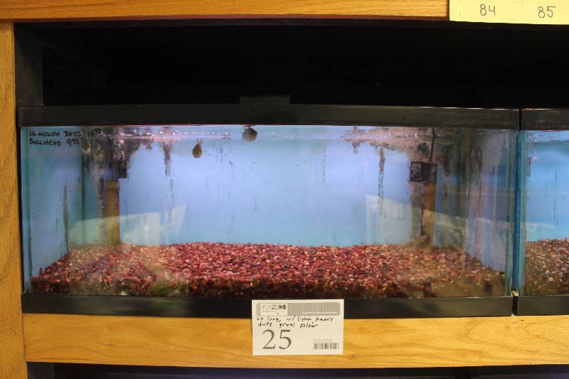 lot 25 image: 20-Gallon Long Aquarium w Glass top, 30 Light, Under-gravel Filter, and Gravel