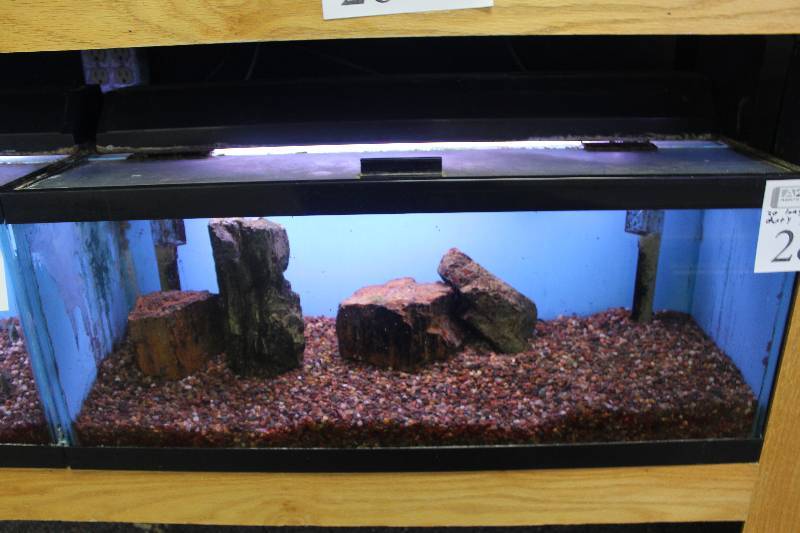 lot 28 image: 20-Gallon Long Aquarium w Glass top, 30 Light, Under-gravel Filter, and Gravel