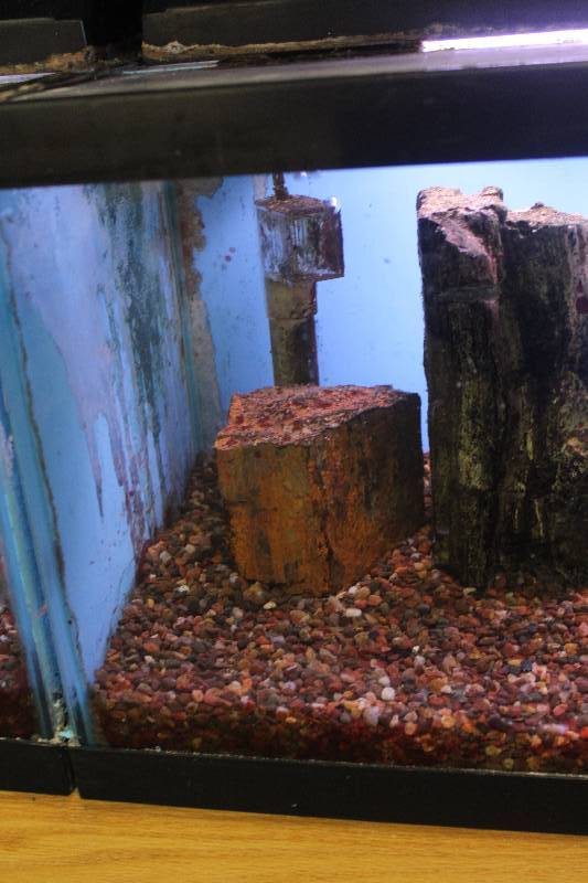 lot 26 image: 20-Gallon Long Aquarium w Glass top, 30 Light, Under-gravel Filter, and Gravel