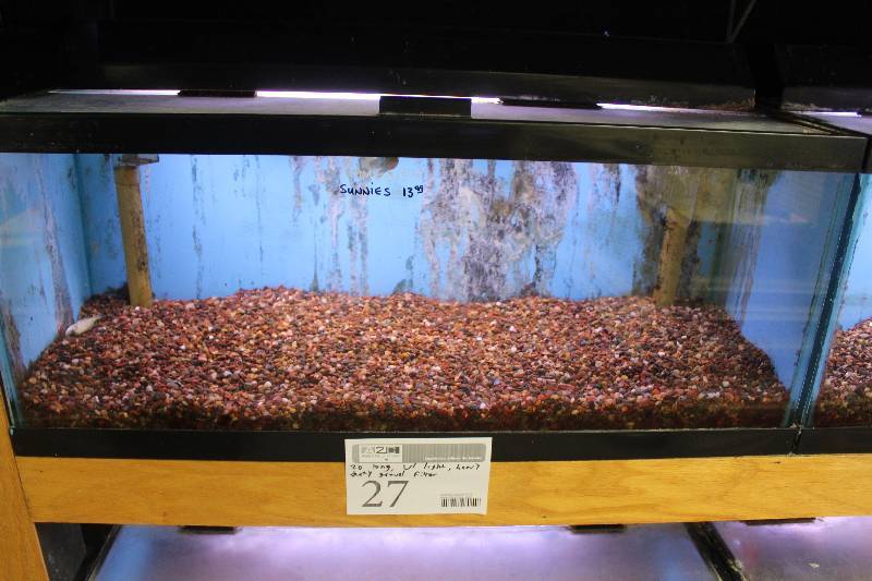 lot 27 image: 20-Gallon Long Aquarium w Glass top, 30 Light, Under-gravel Filter, and Gravel