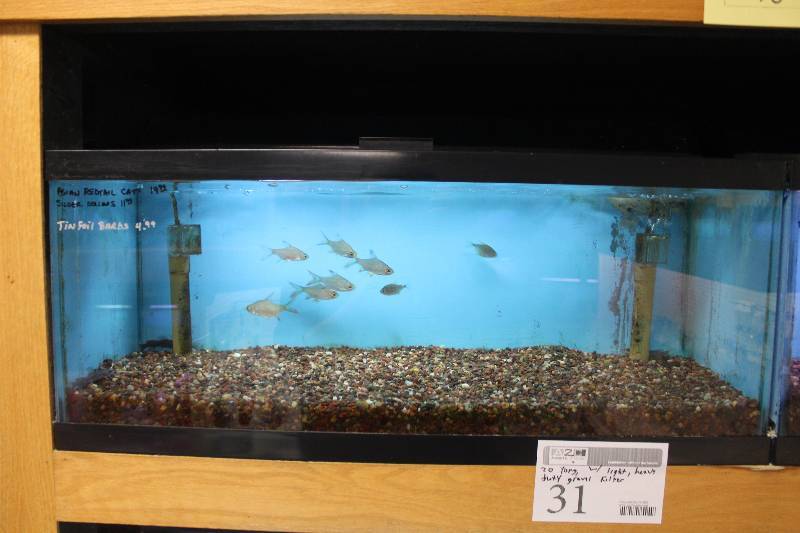 lot 31 image: 20-Gallon Long Aquarium w Glass top, 30 Light, Under-gravel Filter, and Gravel