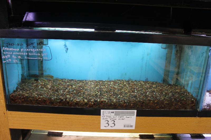 lot 33 image: 20-Gallon Long Aquarium w Glass top, 30 Light, Under-gravel Filter, and Gravel