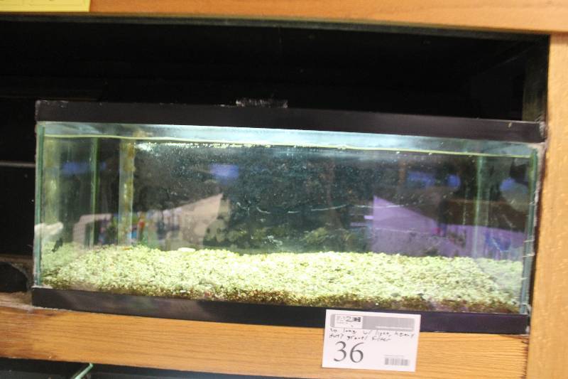 lot 36 image: 20-Gallon Long Aquarium w Glass top, 30 Light, Under-gravel Filter.  Note  No gravel.